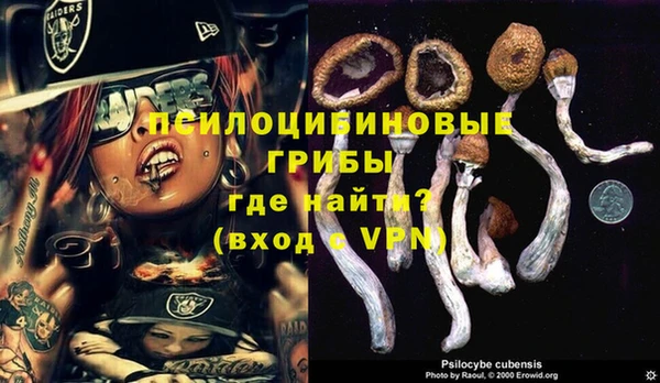 mix Надым