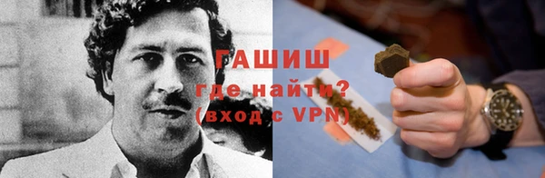 прущие грибы Наволоки