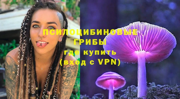 PSILOCYBIN Нефтекумск