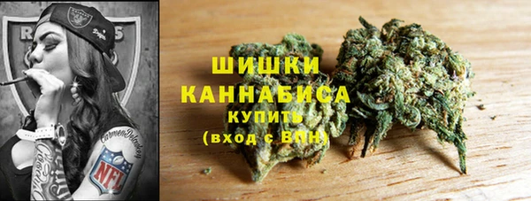 прущие грибы Наволоки
