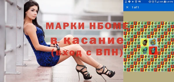 прущие грибы Наволоки