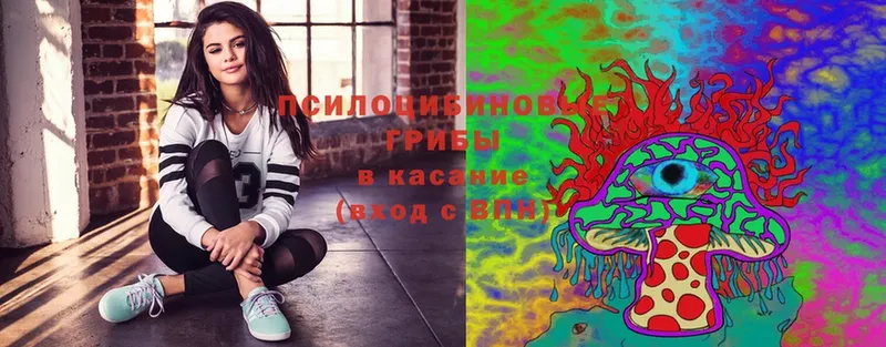 OMG ссылка  shop наркотические препараты  Псилоцибиновые грибы MAGIC MUSHROOMS  Тетюши 