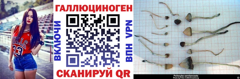 Галлюциногенные грибы Psilocybine cubensis  гидра ONION  Тетюши 